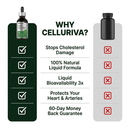 Chlorophyll | 2oz Liquid